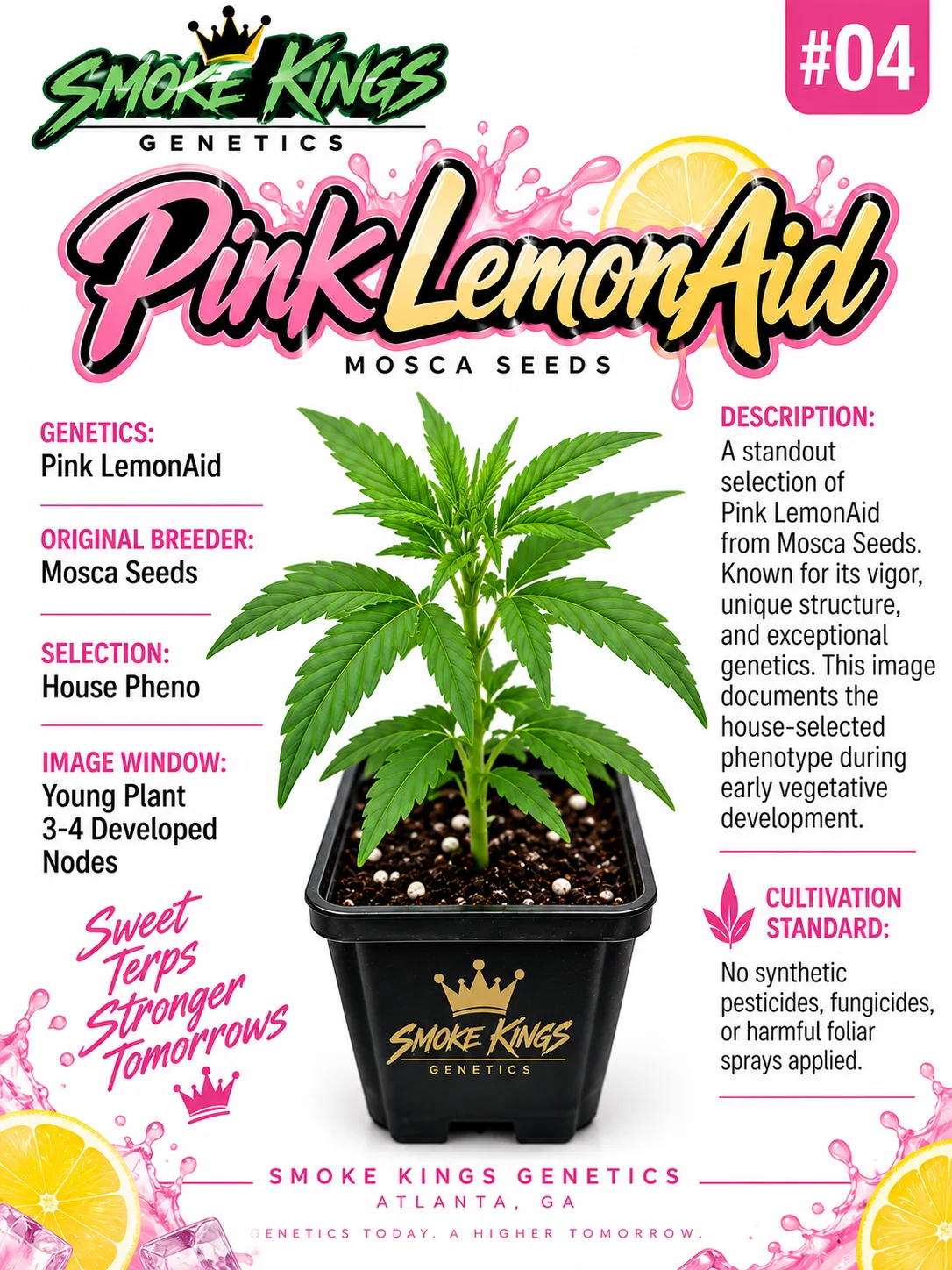SMOKE KINGS | Pink Lemonade (Pink LemonAid)