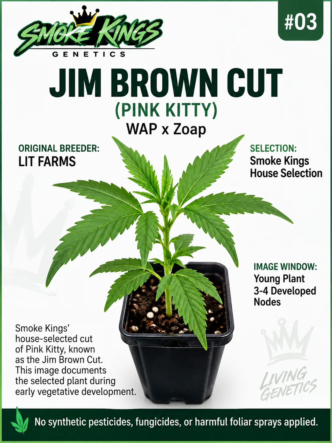 SMOKE KINGS | Jim Brown Cut - Pink Kitty