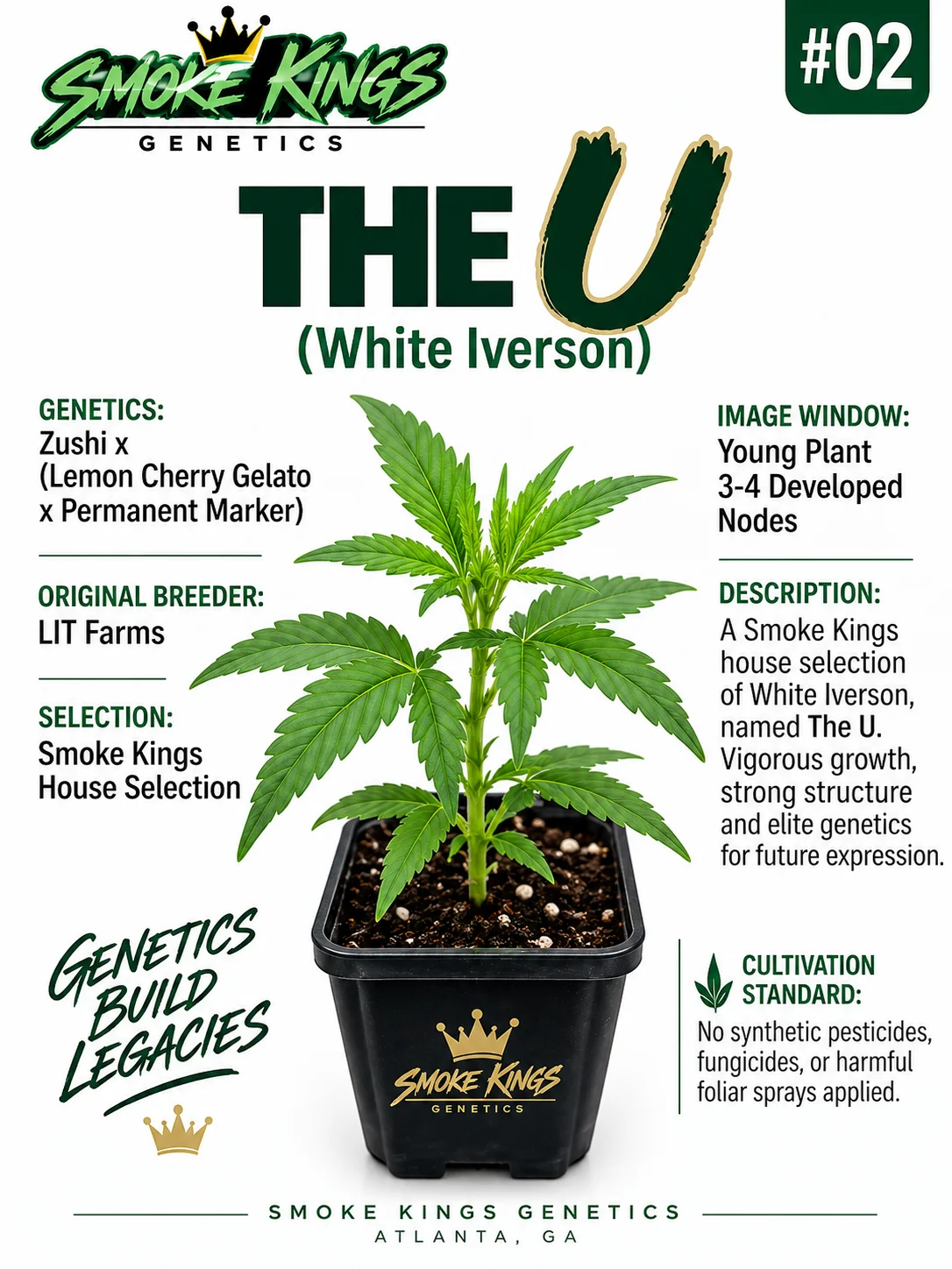 SMOKE KINGS | The U - White Iverson