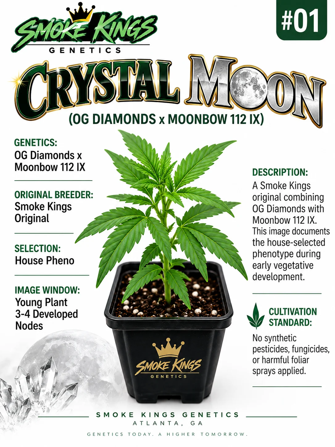 SMOKE KINGS | Crystal Moon House Clone